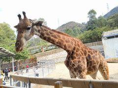 -泉州海丝野生动物世界