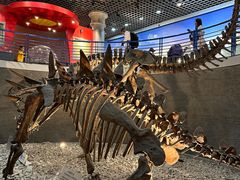 -国家自然博物馆