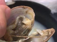 -陈氏肥蛤(小纬六路总店)