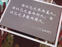 -莲湖公园