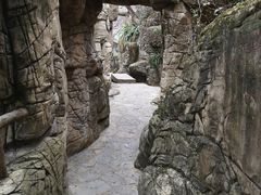 -老幺泉水鸡