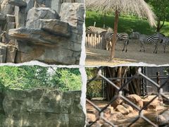 -北京野生动物园