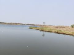 -宁波杭州湾国家湿地公园
