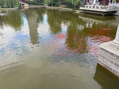 -迎泽公园