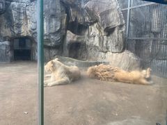 -南昌动物园