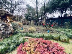 -绮园景区