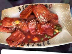 -五台山正觉全素斋