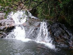 -银瓶嘴森林公园