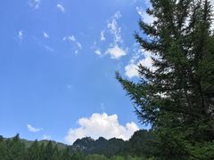 -前门·鲜肉火锅(长风店)