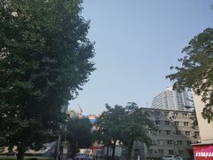 -中央民族大学