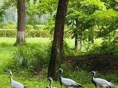 -廊坊固安福朋喜来登酒店
