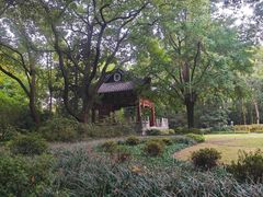 -汇龙潭