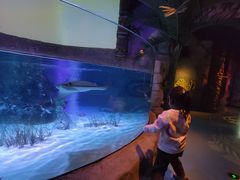 -沈阳海洋探索中心