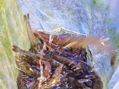 -巽寮印象美食部落餐厅·海鲜·地方特色菜(惠州体验店)