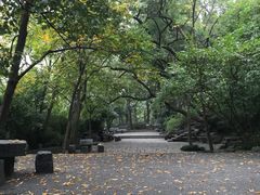 -吴山景区