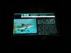 -泉城欧乐堡海洋极地世界