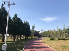 -羊亭河湿地公园