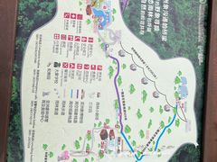 -野象谷景区
