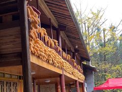 -腾冲国萍农家乐