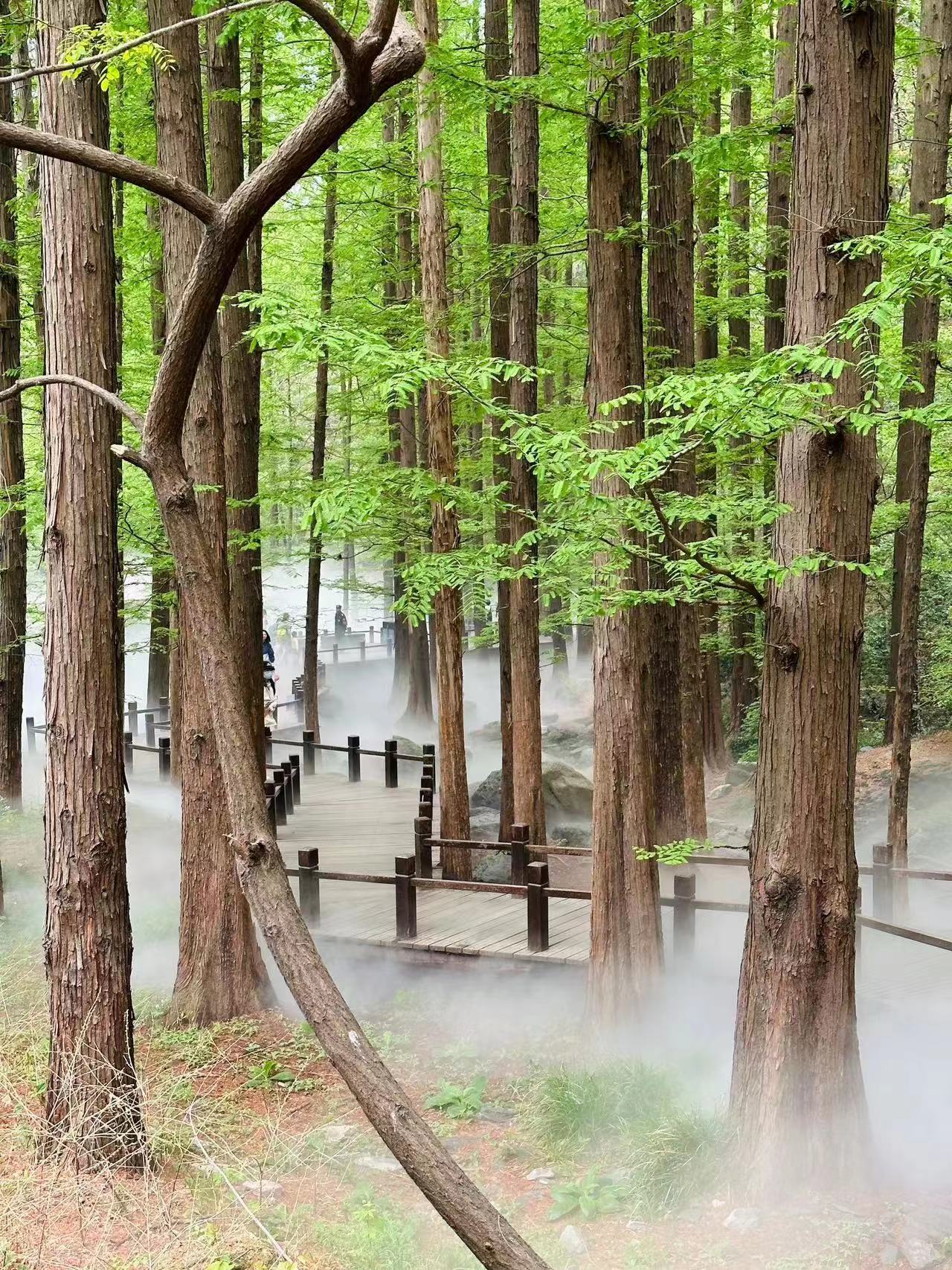 香山樱桃沟景区图片