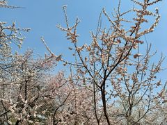 -吉林大学(南岭校区)