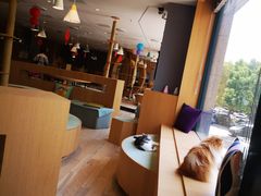 -CAT’S MEWSTAR CAFE·喵星球猫屋(晴湾咖啡店)