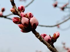 -迎泽公园
