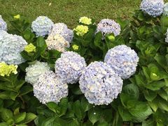 -芽庄珍珠岛游乐园