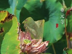 -重元寺