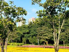 -文华公园(禅城区)