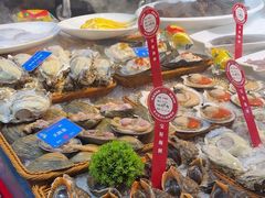 -宝轩渔府·老字号海鲜·正宗津菜(水上店)