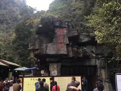 -中国大熊猫保护研究中心雅安碧峰峡基地