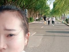 -丁香湖公园
