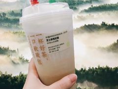 芝士奈雪初露-奈雪的茶(石家庄万象城店)