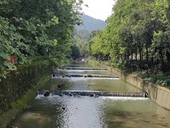 -广州白江湖森林公园