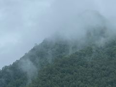 -牛背梁国家森林公园