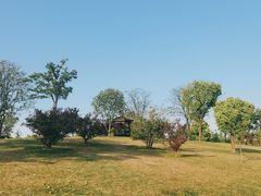 -广富林郊野公园