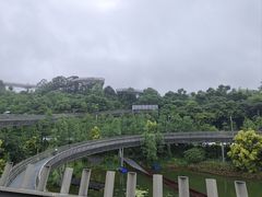 -福道