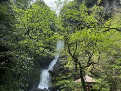 -石台牯牛降景区