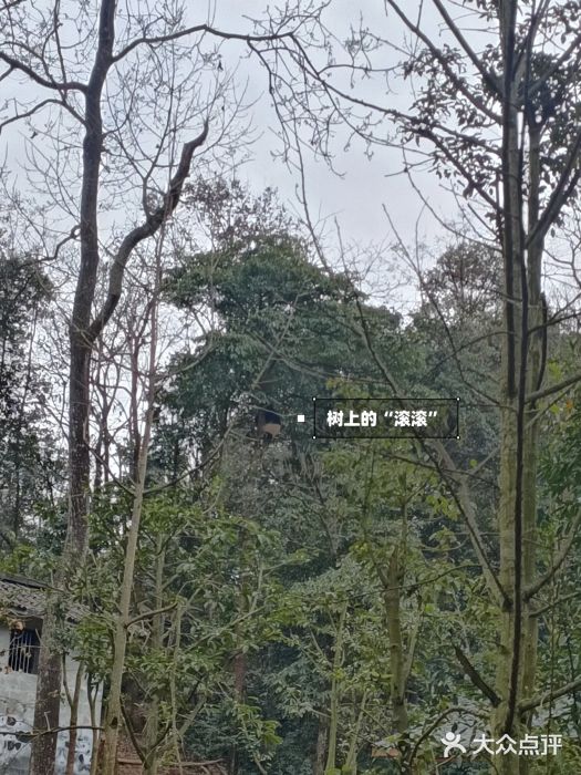 碧峰峡风景区图片