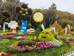 -上海共青森林公园