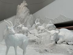 -中国湿地博物馆