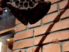 -园里火锅(仁和新城店)