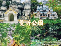 -中国科学院西双版纳热带植物园