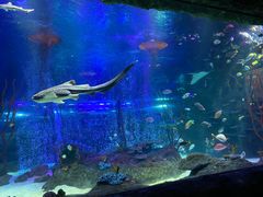 -沈阳海洋探索中心