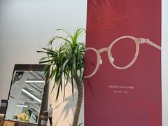 -大视光学•LINDBERG林德伯格•全球手工眼镜集合店(王府井店)