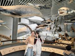 -上海大自然野生昆虫馆(东方明珠·爬宠昆虫探索中心)