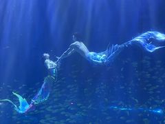 -华夏文旅海洋公园