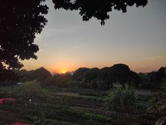 -米岗农庄