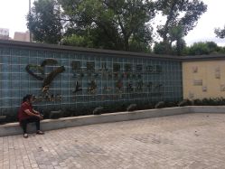 -上海交通大学医学院附属上海儿童医学中心(陆家嘴总院区)